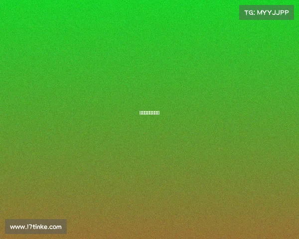 广安电子城在哪里 广安电子城在哪里